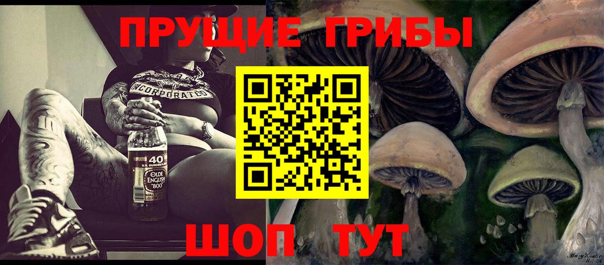 Заринск  даркнет сайт  Вход с VPN  Галлюциногенные грибы MAGIC MUSHROOMS  Галлюциногенные грибы MAGIC MUSHROOMS 