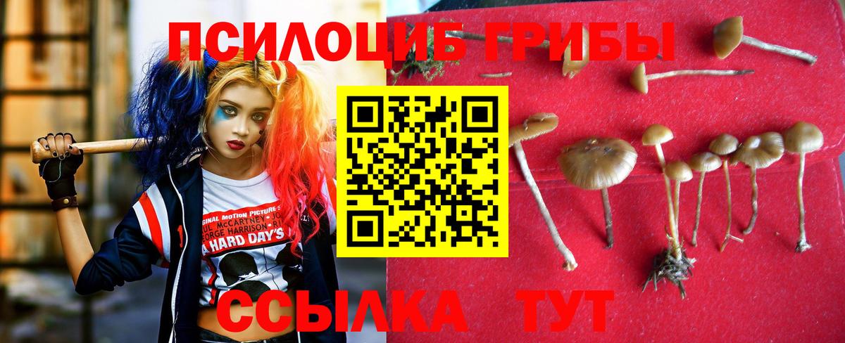 Галлюциногенные грибы MAGIC MUSHROOMS Заринск